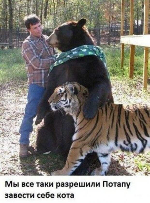 Фотоприколы и позитив