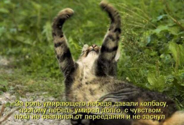 Продолжаем подготовку к Новому Году.