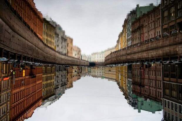 фотографии, природа, животные, national geographic