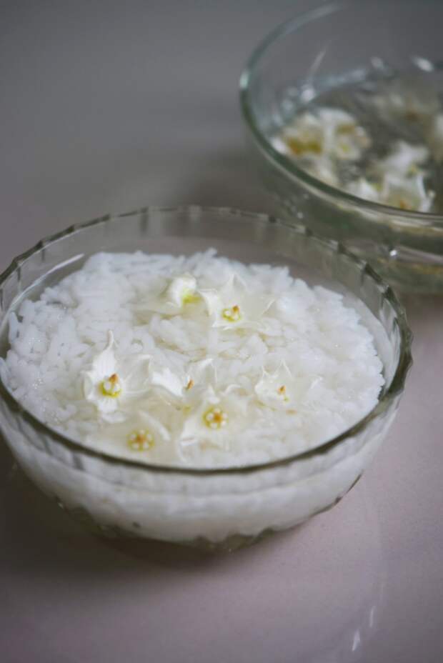 Рисовый тоник для сияния кожи: домашний рецепт незаменимого средства в Азии