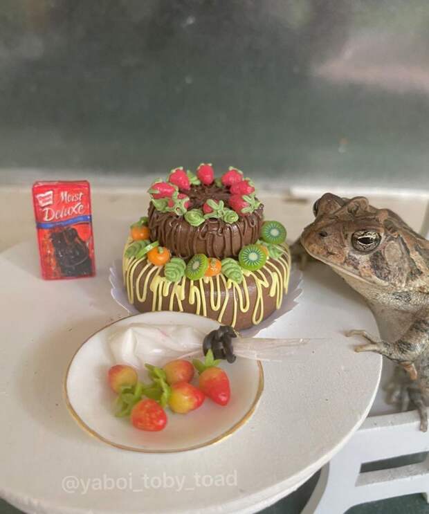 9 фото лягушки, которая живет жизнью человека