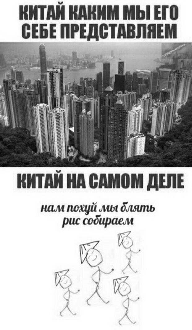 Смешные и познавательные картинки