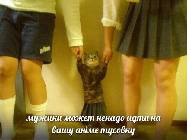 Нестандартный юмор :)