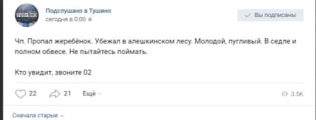 В Алёшкинском лесу разыскивают патрульного жеребёнка