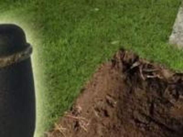 Миф об экологичности кремации и что такое «ресомация» и «промессия»
