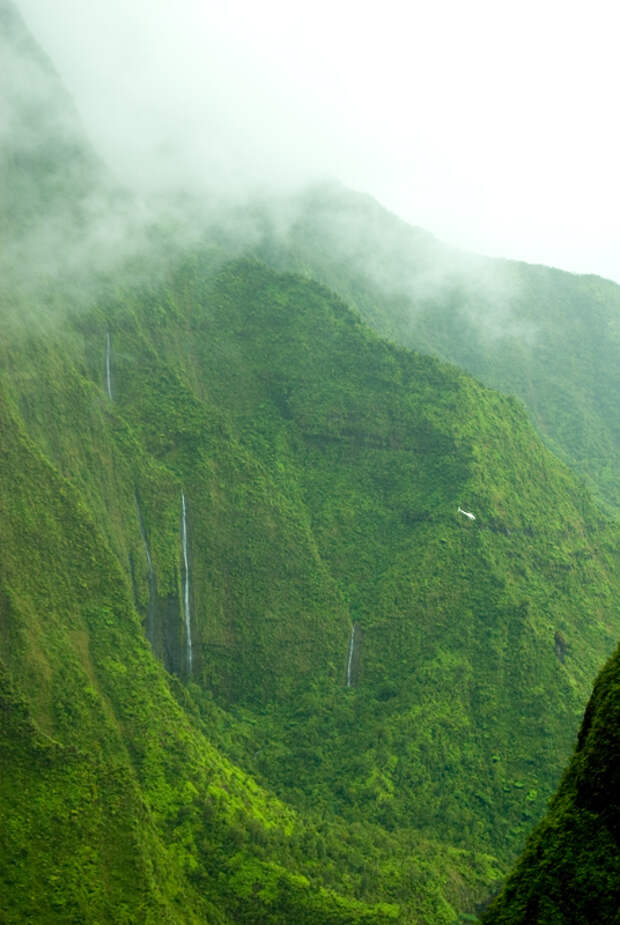 2129888341 5d3ec1182c o Стена слез: водопад Хонокохау на Гавайях