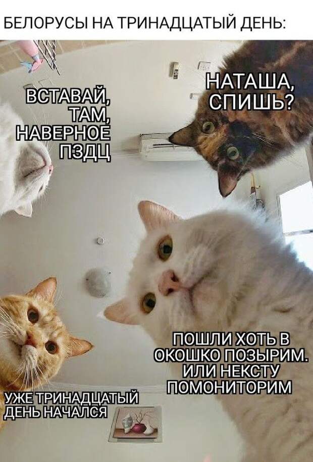 Света в конце тоннеля