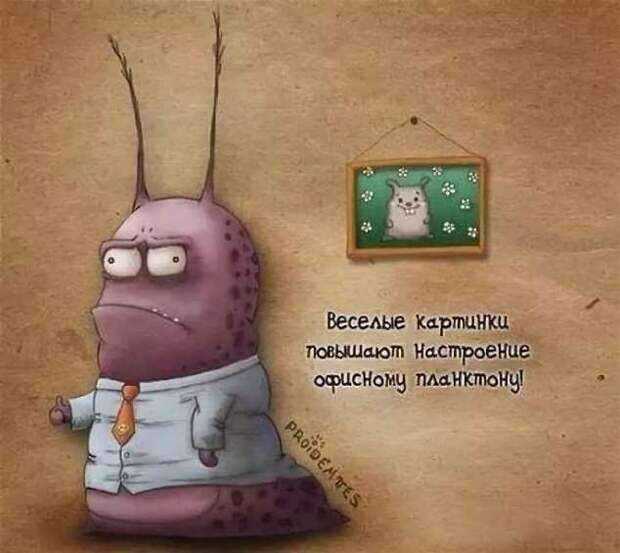 Неадекватный юмор из социальных сетей. Подборка chert-poberi-umor-chert-poberi-umor-13300421092020-7 картинка chert-poberi-umor-13300421092020-7