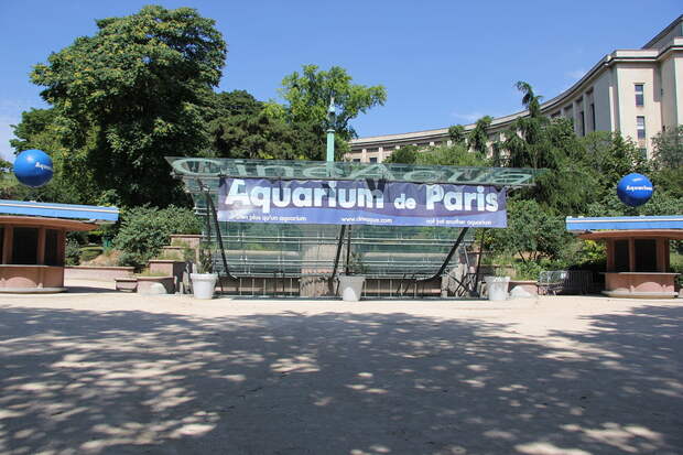 Парижский аквариум - Aquarium de Paris - CinéAqua