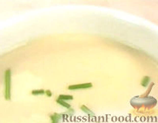 Фото к рецепту: Вишисуаз (французский суп)