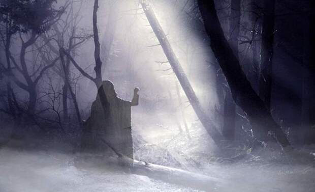 Найдено фото жуткого призрака в лесу