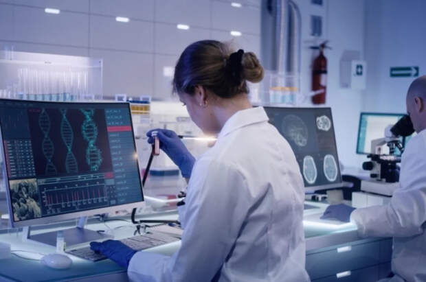 Bild: в Германии 1800 мужчин должны сдать ДНК по делу об убийстве женщины