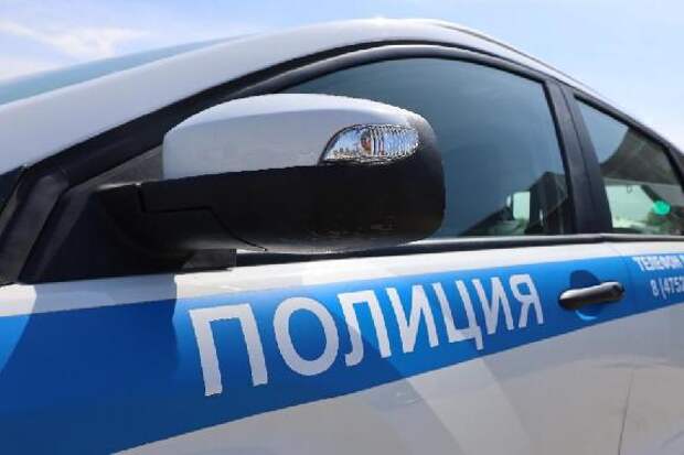 В Кирсановском округе браконьеры зарезали лося