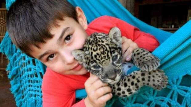 Тьяго Силвейра – бразильский мальчик, живущий с ягуарами