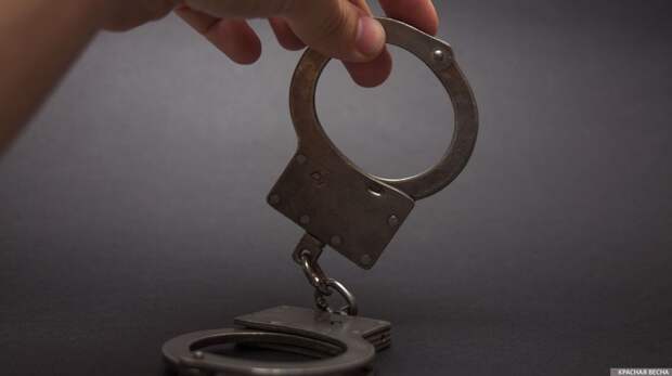 Задержан подозреваемый в обмане фигуристки Тарасовой на 780 тыс. руб.