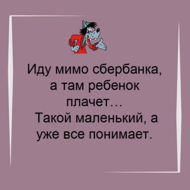 Самый лучший юмор – тот, что на злобу дня