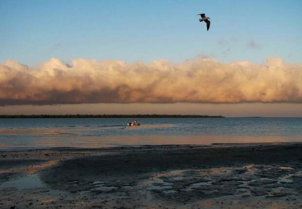 Облака, Австралия, Morning Glory, природа, неизученные явления