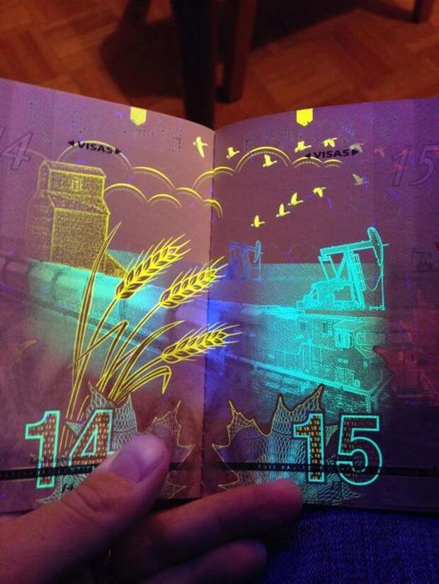 CanadianPassport06 Новый паспорт гражданина Канады в свете ультрафиолета