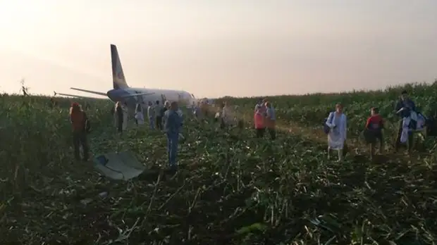 Опубликовано видео с места экстренной посадки самолёта А321