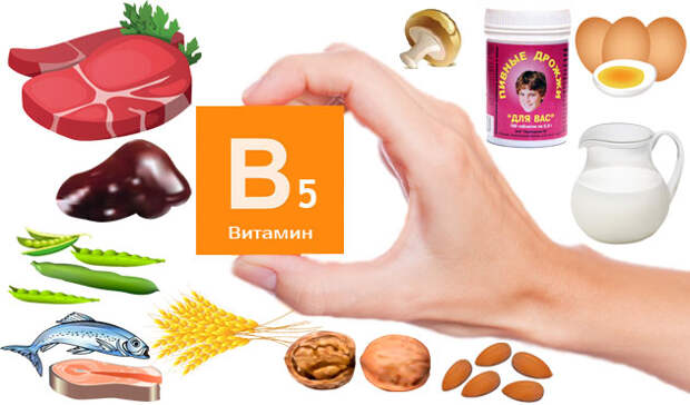 В каких продуктах содержится витамин В5 - В каких продуктах содержится витамин В