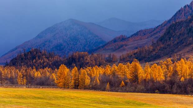 Фото: Helen Tikhomirova