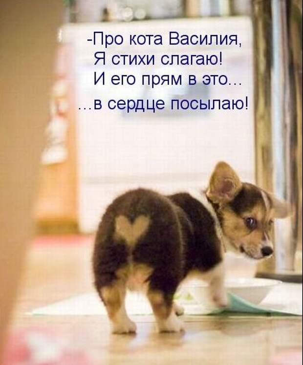 3e76981ef9a0b9bcf3b35edc5d4