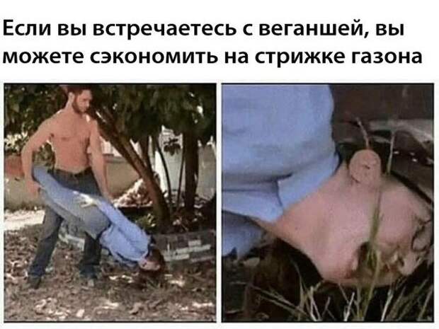Картинки, юмор, приколы