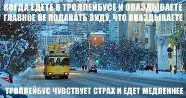 Новые смешные фотомемы Очередная, порция, юмора, позитива, прикольных, картинках, смешными, подписями