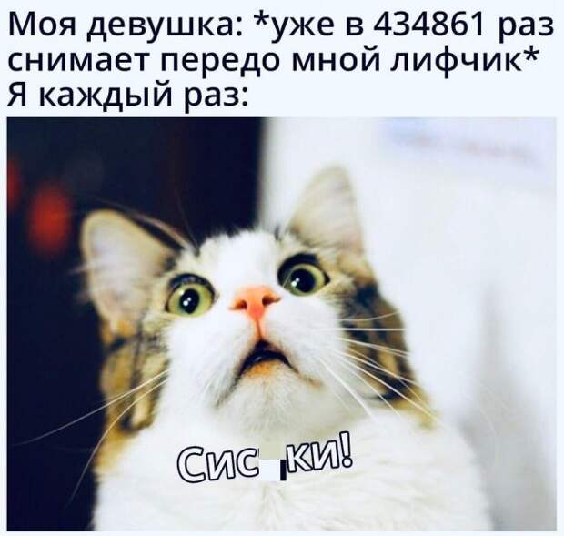 Мемы и приколы про 