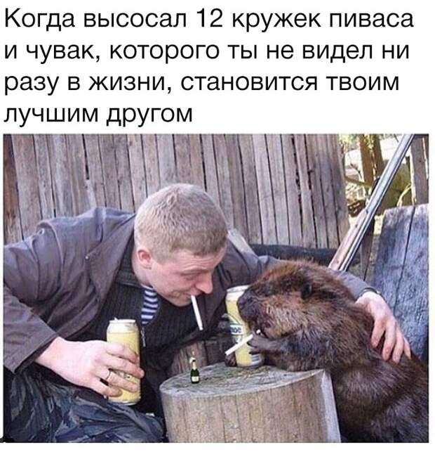 6zwDZQWHxoI