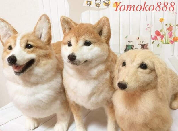 Yomoko888-real-animals-novate5 (700x514, 245Kb)