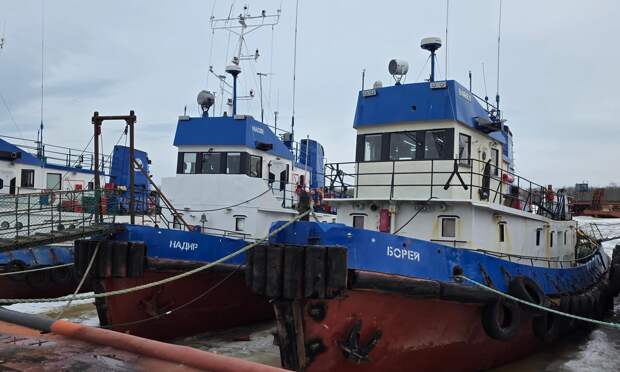 Буксиры готовятся к выходу на речные переправы в Архангельске