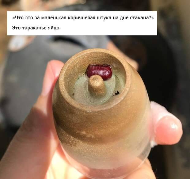 Люди спрашивают: "Что это за штуковина?"