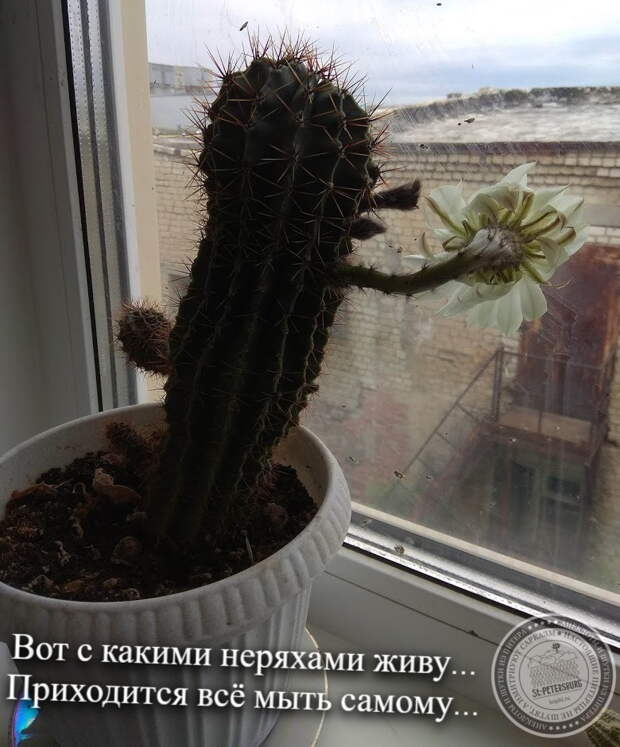 Все самому