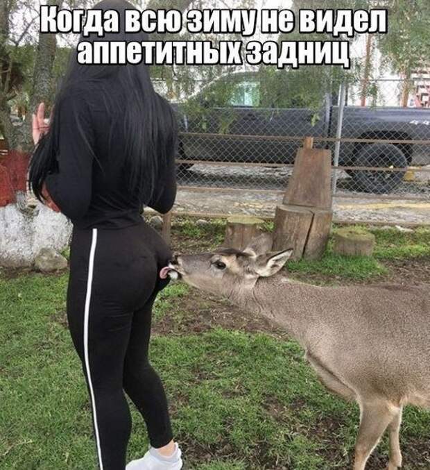 Деградировать подано Деградировать подано