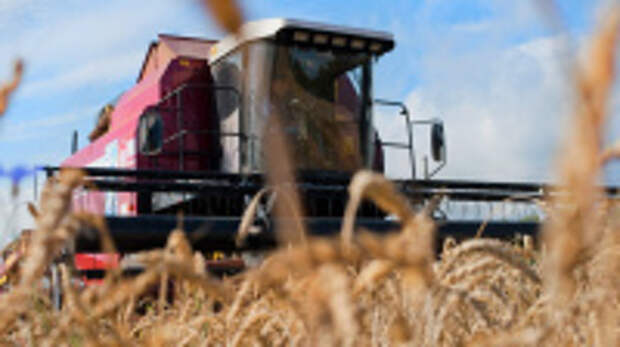 Государственная поддержка на производство и реализацию зерновых культур  в регионе увеличена в полтора раза в 2026 году