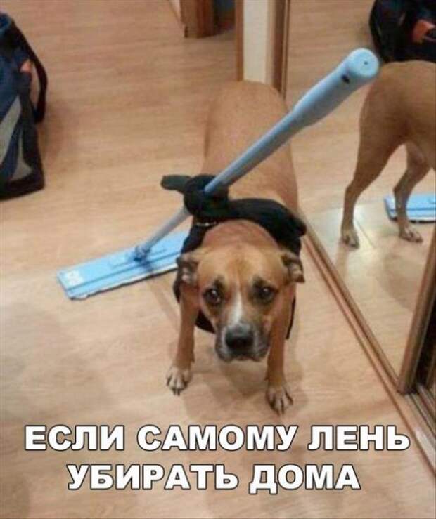 Прикольные фотомемы для всех (28 шт)