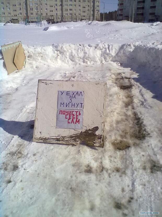 Зима авто, прикол, юмор