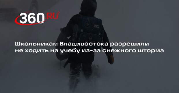 Во Владивостоке из-за непогоды отменили занятия в школах и детсадах
