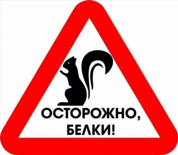 Предупреждающие таблички. Прикольные. Подборкаchert-poberi-tablichki-19320504012021-4 картинка chert-poberi-tablichki-19320504012021-4