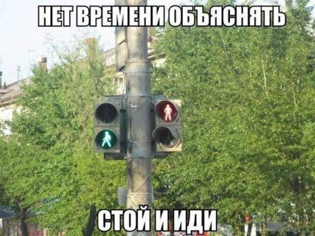 Самые прикольные картинки
