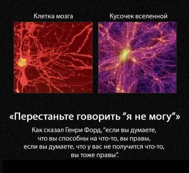 Полезные советы