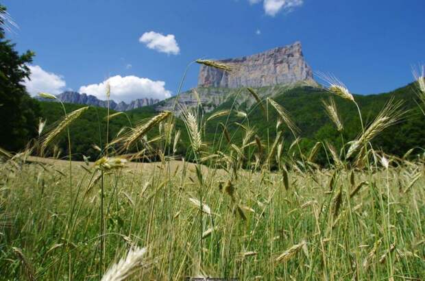 Одинокая вершина Mont Aiguille горы, франция, природа,