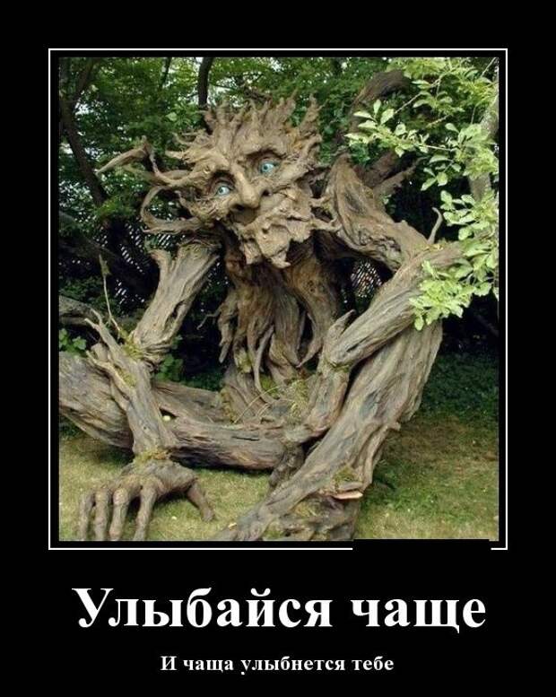 Демотиваторы демотиваторы, фото, юмор