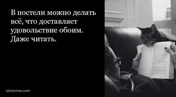 20 фраз, которые поднимут вам настроение