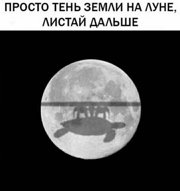 Нестандартный юмор :)
