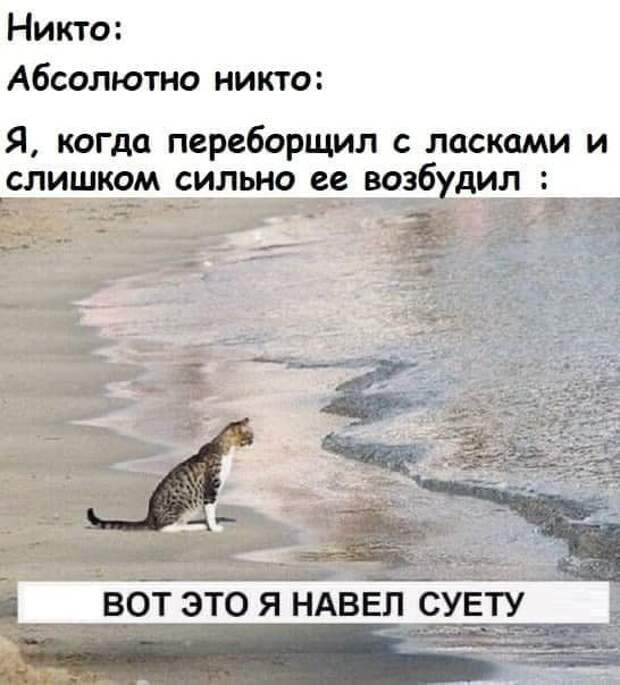 Мемы и приколы на &quot;щекотливую&quot; тему