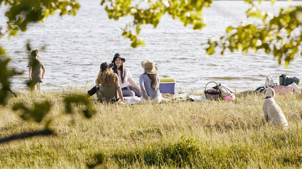 Почти половина россиян уже съездили на пикник в этом году