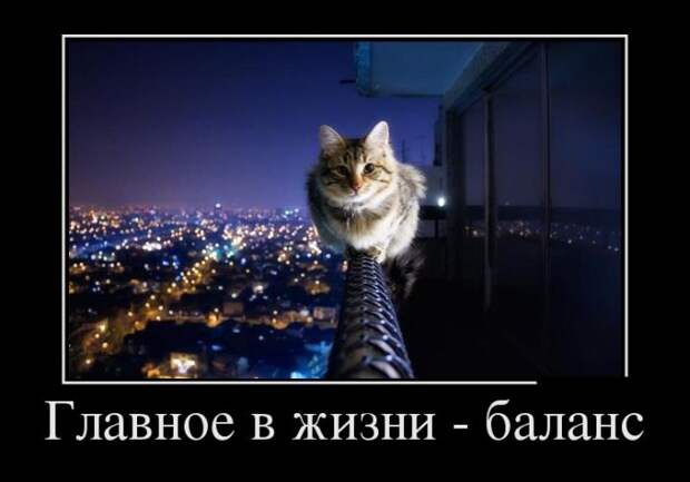 Демотиваторы (30 фото)