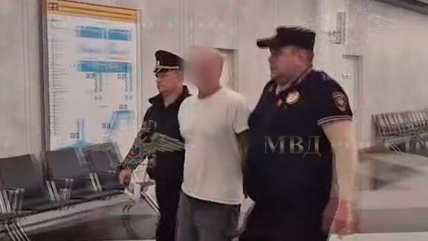 Шизофрения диагностирована у бросившего ребенка об пол в Шереметьево